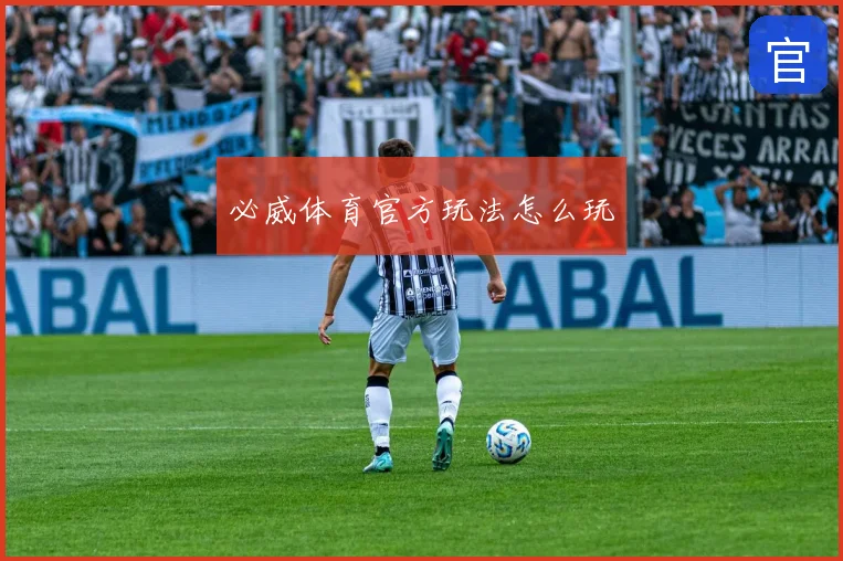 必威体育官方玩法怎么玩